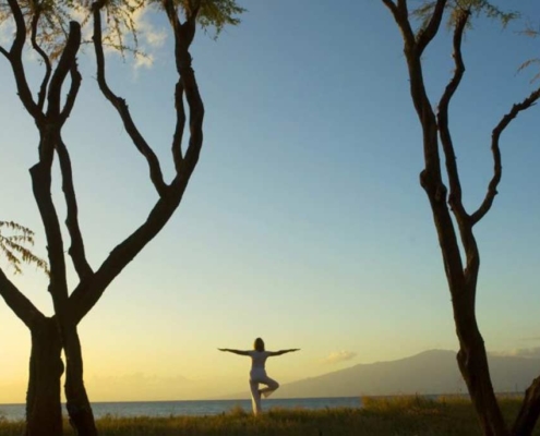 Den inneren Kompass finden