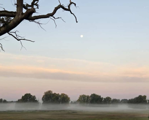 landhaus-elbeflair-mond