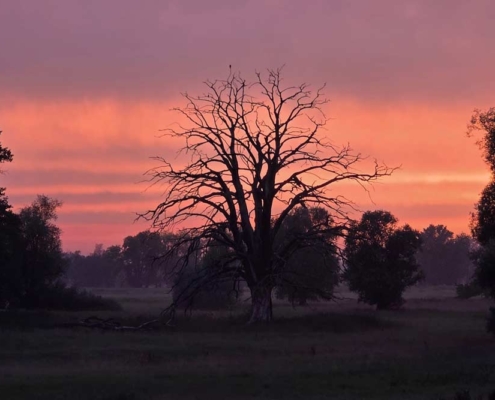 landhaus-elbeflair-stimmung