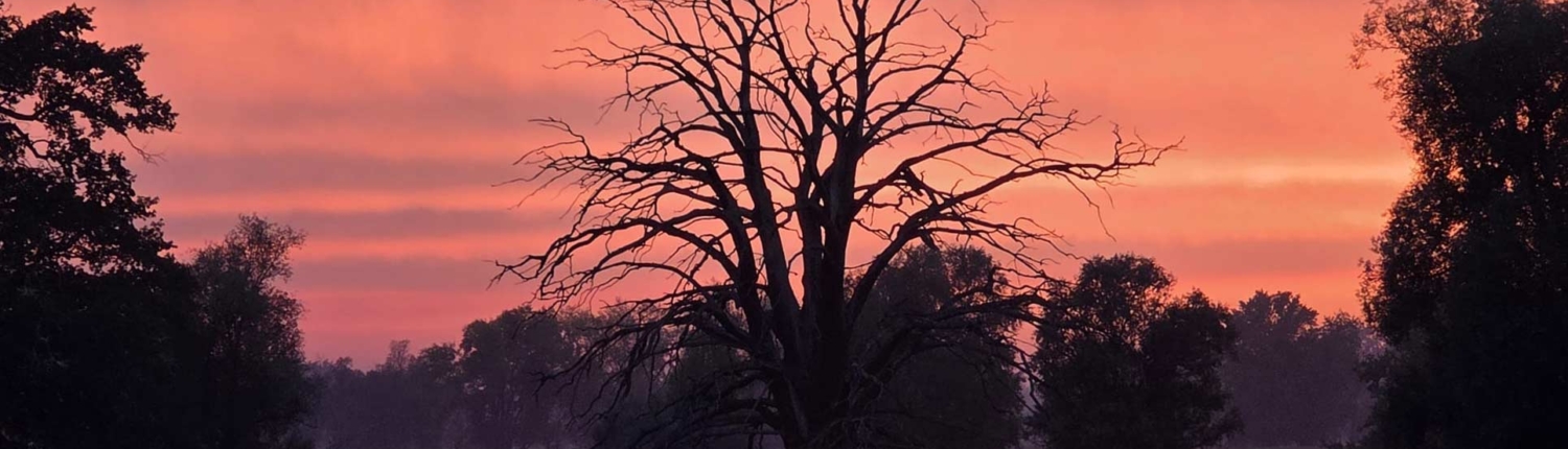 slider-crea-seminare